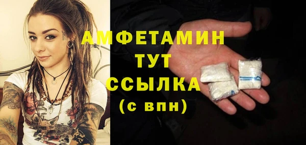 твердый Аркадак