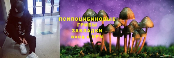 МДМА Арсеньев