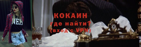 твердый Аркадак
