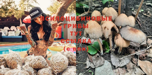 МДМА Арсеньев