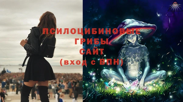 МДМА Арсеньев