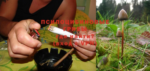 твердый Аркадак