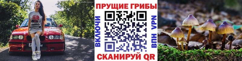 кракен ТОР  закладки  Аткарск  Галлюциногенные грибы MAGIC MUSHROOMS 